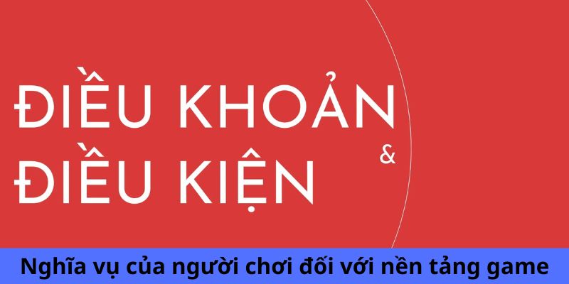 Nghĩa vụ của người chơi đối với nền tảng game